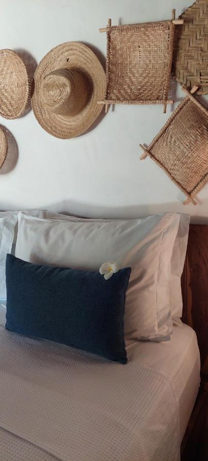 Arataba Hotel Boutique E Bistro - 150 Mts Do Mar Pôrto de Pedras Zewnętrze zdjęcie