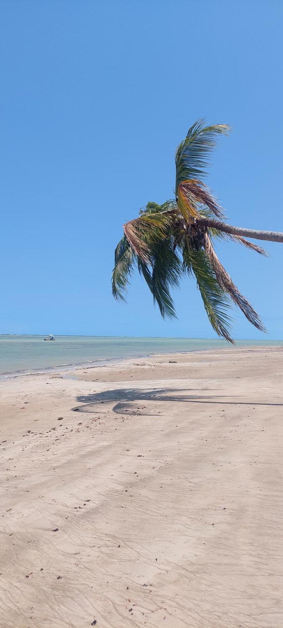 Arataba Hotel Boutique E Bistro - 150 Mts Do Mar Pôrto de Pedras Zewnętrze zdjęcie
